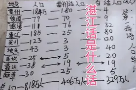 湛江话是什么话呢？是白话粤语还是雷州话视频封面