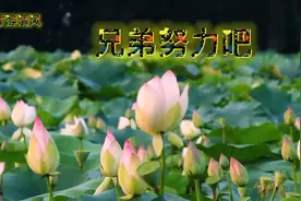 俗话说:汤无盐不如水，人没钱不如鬼。加油吧视频封面