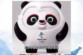 北京冬奥会冰墩墩为何是大熊猫？视频封面