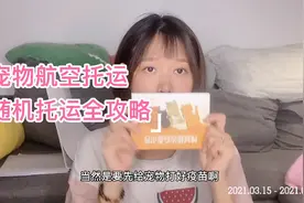 宠物航空托运，随机托运超全保姆级教程！个人经历超详细分享视频封面