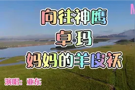 亚东三首好听的歌《向往神鹰》《卓玛》《妈妈的羊皮袄》心旷神怡视频封面