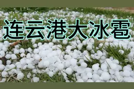 连云港五一节前大冰雹，长这么大第一次看到这么豪横的冰雹！视频封面