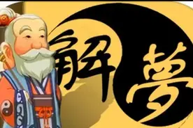 梦见狗熊视频封面