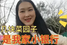 杭州主妇1000方院子堪比银行，菜园子种点小菜，每天摘一点，愉悦视频封面