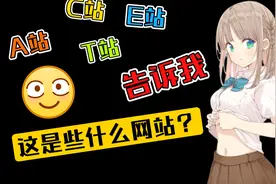A站、B站、C站…P站、T站都是些什么网站？来看看你是不是老司机视频封面