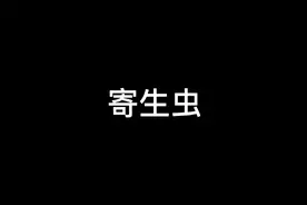 帮鱼去除体表寄生虫，谨慎选择观看视频封面