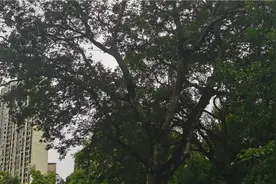 赣南十八县市区航拍集，老表们快点来看看你的家乡。