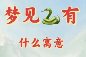 梦见蛇或者被蛇咬的寓意视频封面