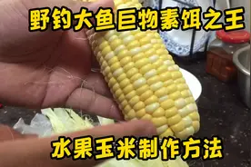 野钓大鱼巨物素饵之王，水果玉米制作方法！横扫水库千军万马！视频封面
