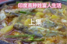 上集：实拍印度高种姓富人生活，一群富家小孩的生活真奢侈视频封面