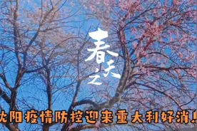 明天开始，沈阳市内部分公交线路恢复运营，绝大部分小区解封。视频封面