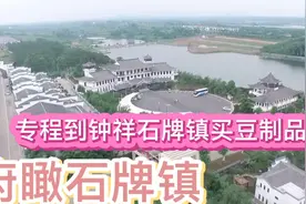 专程去钟祥石牌镇买豆制品，元旦假期吃豆腐晏视频封面