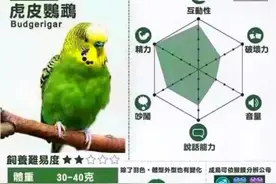 分享14种鹦鹉的特点，最后一种最完美