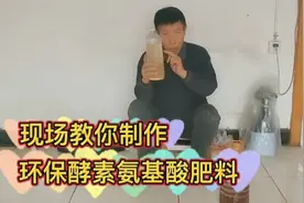 环保酵素氨基酸肥料你用过吗？生根壮苗防病害，现场教你制作视频封面