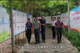 确定了，广东要对桉树下狠手，这次能把桉树“一网打尽”吗？