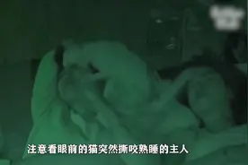 监控拍下的恐怖一幕，猫咪丧心病狂，趁主人熟睡疯狂撕咬！视频封面