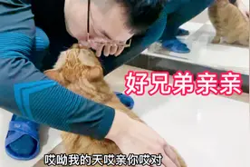 猫妈和哥边吃烤肠边聊着薇娅被罚补缴税款十三亿多元，很是感慨！视频封面