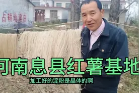红薯粉条加工厂，带大家看看加工过程，河南息县红薯种植基地视频封面