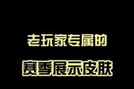 王者老玩家是怎么展示自己皮肤的？