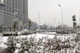 武汉集家嘴附近，大雪过后成了这样，很是讶异！视频封面