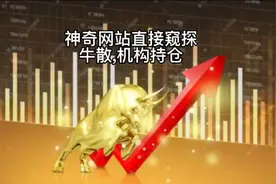 怎样跟上基金经理思路？神奇网站直接窥探牛散\机构持仓视频封面