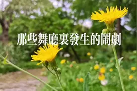 舞厅见闻（1）：那些发生在舞厅里的闹剧视频封面