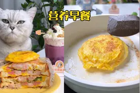 猫咪给我做了丰盛的早餐，希望每天都有视频封面