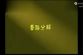 赵幼斌大师.杨式85太极拳口令分解教学