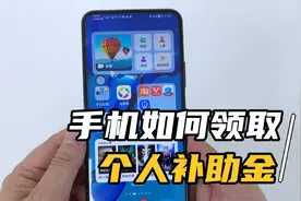 个人没上班，手机如何领取补助金？每月能领2000左右，方法很实用