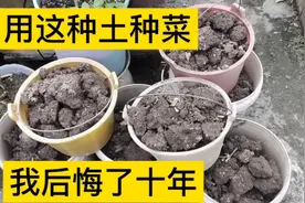 认清这种土，千万别搬上楼顶、阳台种菜，我后悔了十年，视频封面