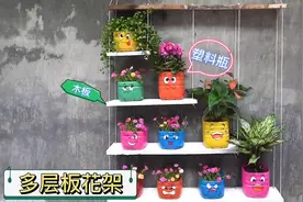 过年的饮料瓶，再几块木板，一个简单实用的多层花架就做好了视频封面