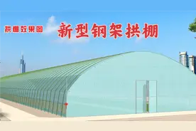 河南农业园区几百亩钢架蔬菜大棚，一个小设计，轻松解决放风问题视频封面