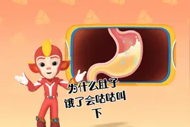 为什么肚子饿了会咕咕叫，启蒙，儿童益智早教动画片