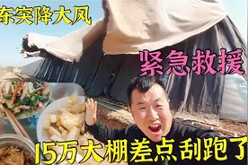 山东突降7级大风，投资15万蘑菇大棚“飞上天”农民大哥吓醒酒!视频封面