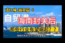 海南封关后那些行业有望崛起