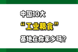 中国10大“工业粮食”基地在你家乡吗？视频封面