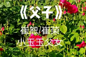 原唱崔恕/崔荣和小玉玉父女演唱的《父子》，哪个唱得更有感觉