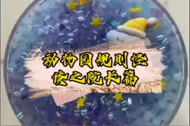 动物园规则怪谈之院长篇视频封面