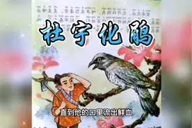 《杜宇化鹃》山中常听到杜鹃“不如归去”的悲鸣为什么它如此伤心视频封面