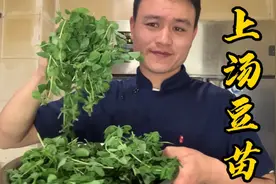 豌豆苗营养价值高，大厨教你：“上汤豆苗”的家庭做法！汤白味鲜视频封面
