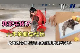 我和我家毛孩子六年的难忘经历，是宠物更是家人视频封面