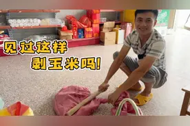 阿表用老妈教的方法剥玉米，简单粗暴效率高，配合着山歌做真得劲