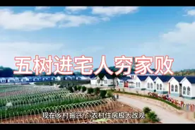 牢记房前屋后谨慎栽种的五种树视频封面