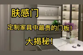 肤感门，定制家具中最贵的门板！到底隐藏着怎样的秘密？