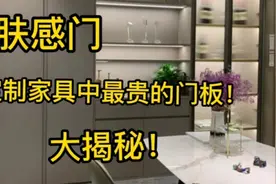 肤感门，定制家具中最贵的门板！到底隐藏着怎样的秘密？