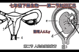 七年级下册生物第二节知识汇点视频封面