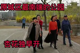 清明踏青推荐：太原城区最南端公园，杏花如雪盛开630米步道蜿蜒视频封面