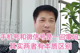 手机号和微信号是一回事吗？其实两者有根本区别视频封面