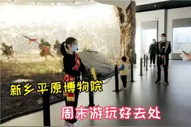 新乡平原博物院免门票，学生最爱去的地方，看这小导游说的溜不溜