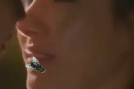美女与帅哥前方高能一波吻戏视频封面